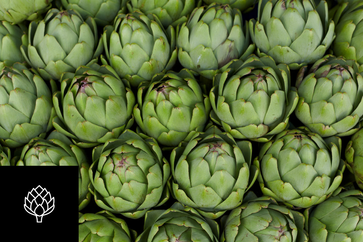 Why Artichoke? Out of Regz