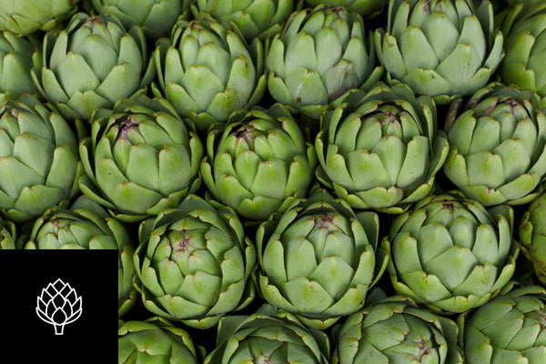 Why Artichoke?